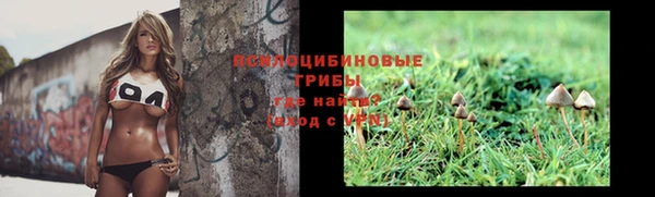 таблы Алзамай