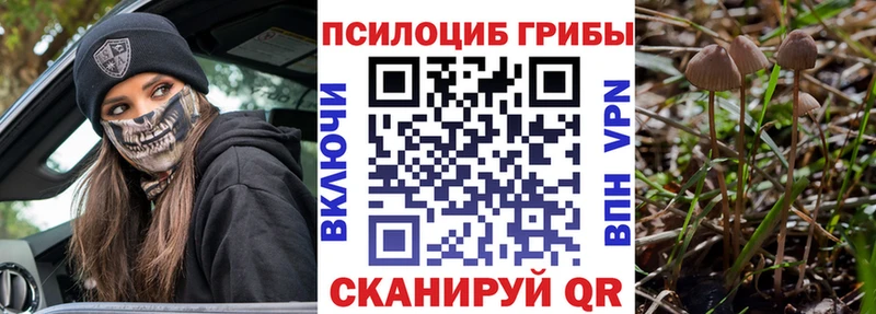 площадка клад  Всеволожск  Псилоцибиновые грибы Psilocybine cubensis 